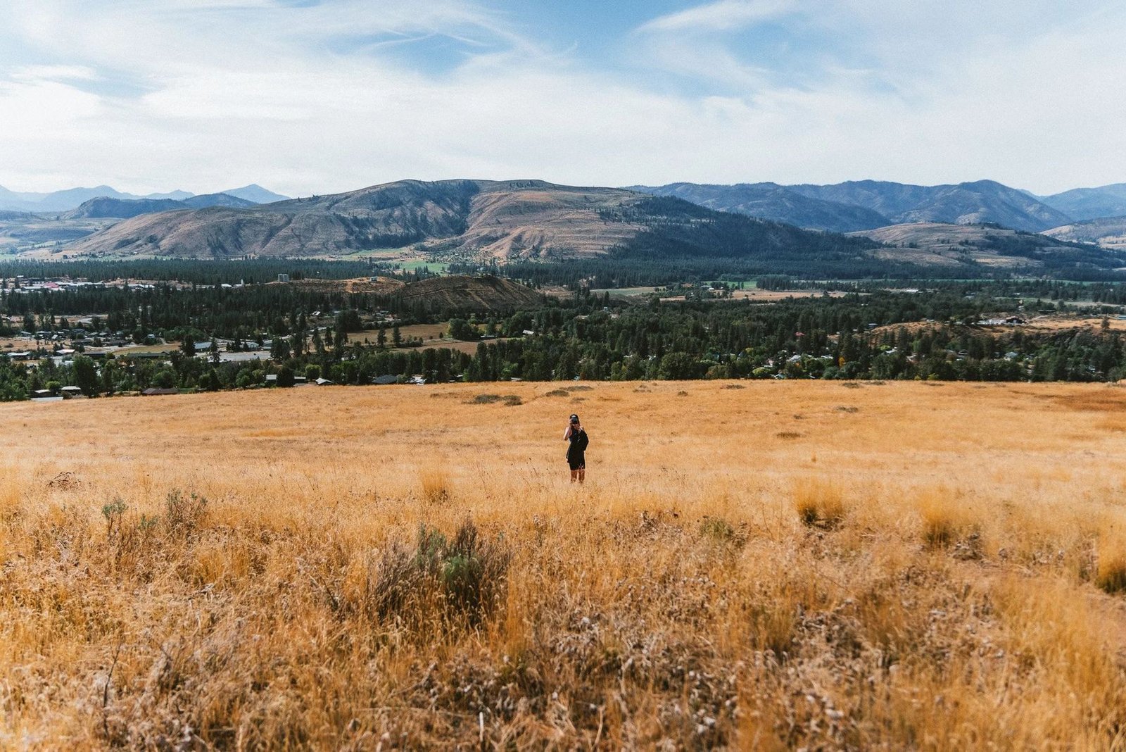 Golden fields in Winthrop, Washington