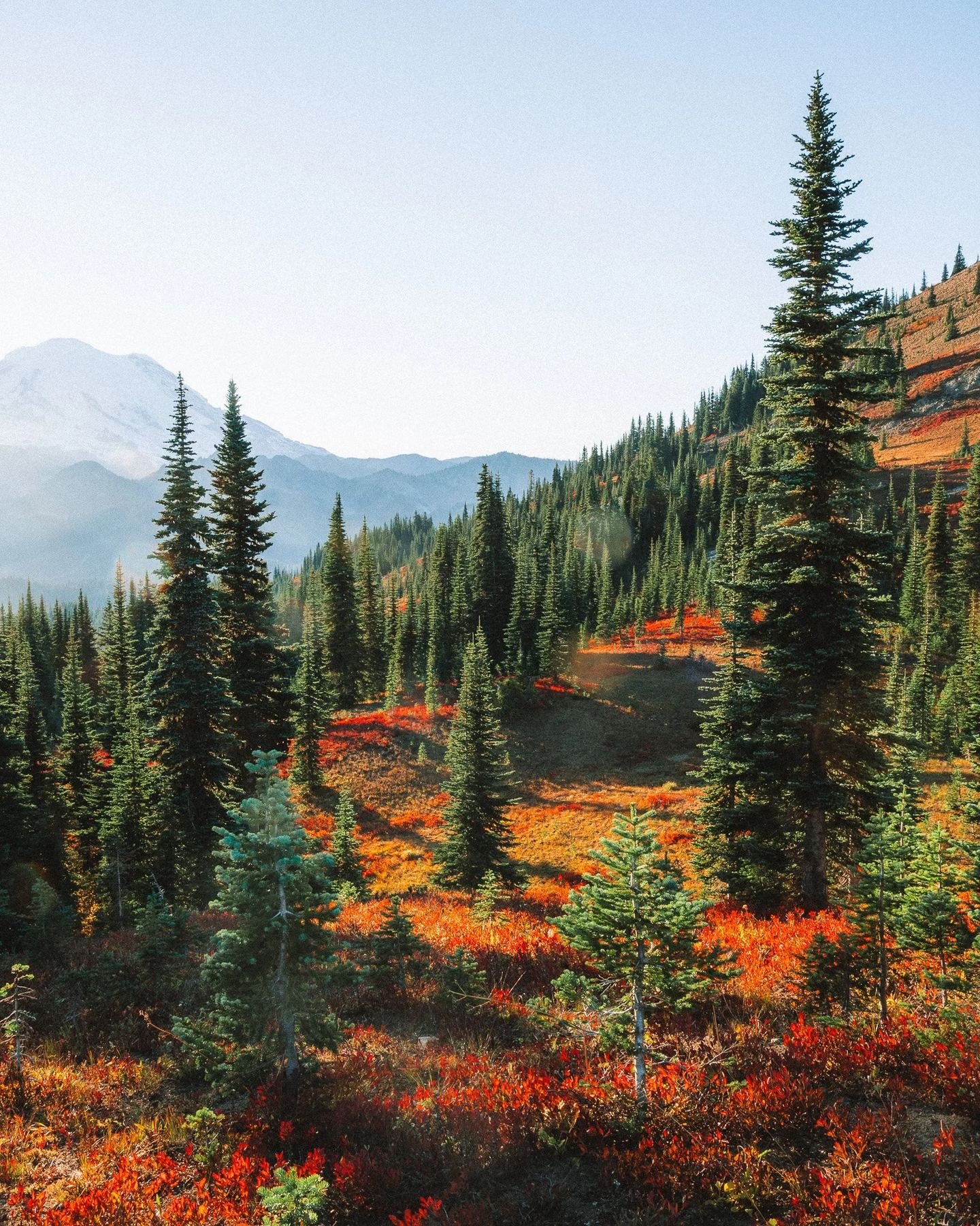 Mount Rainier in fall color